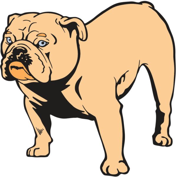 AR BDOG 85 RC Thumbnail